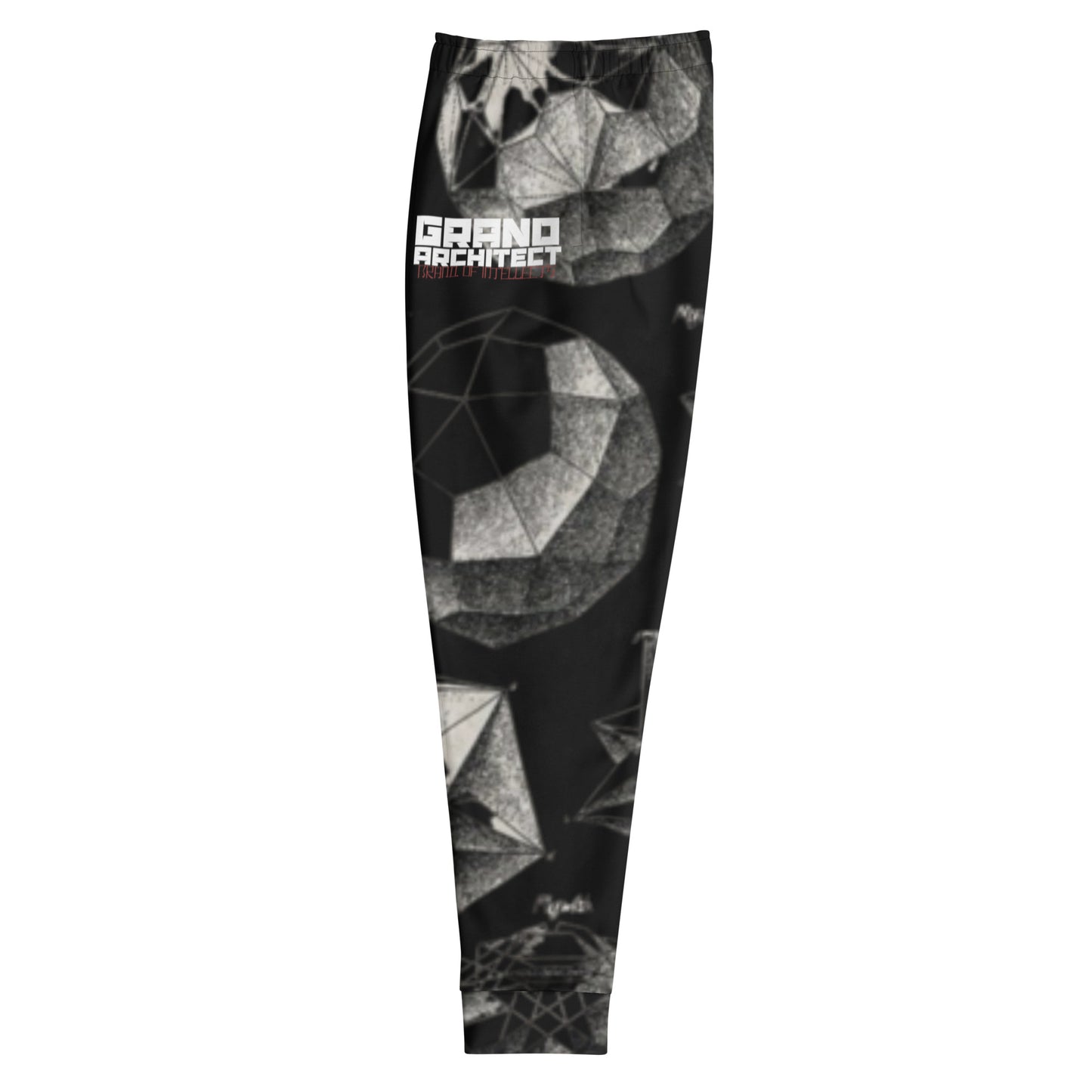 Geometrical Knowledge Men's Joggers