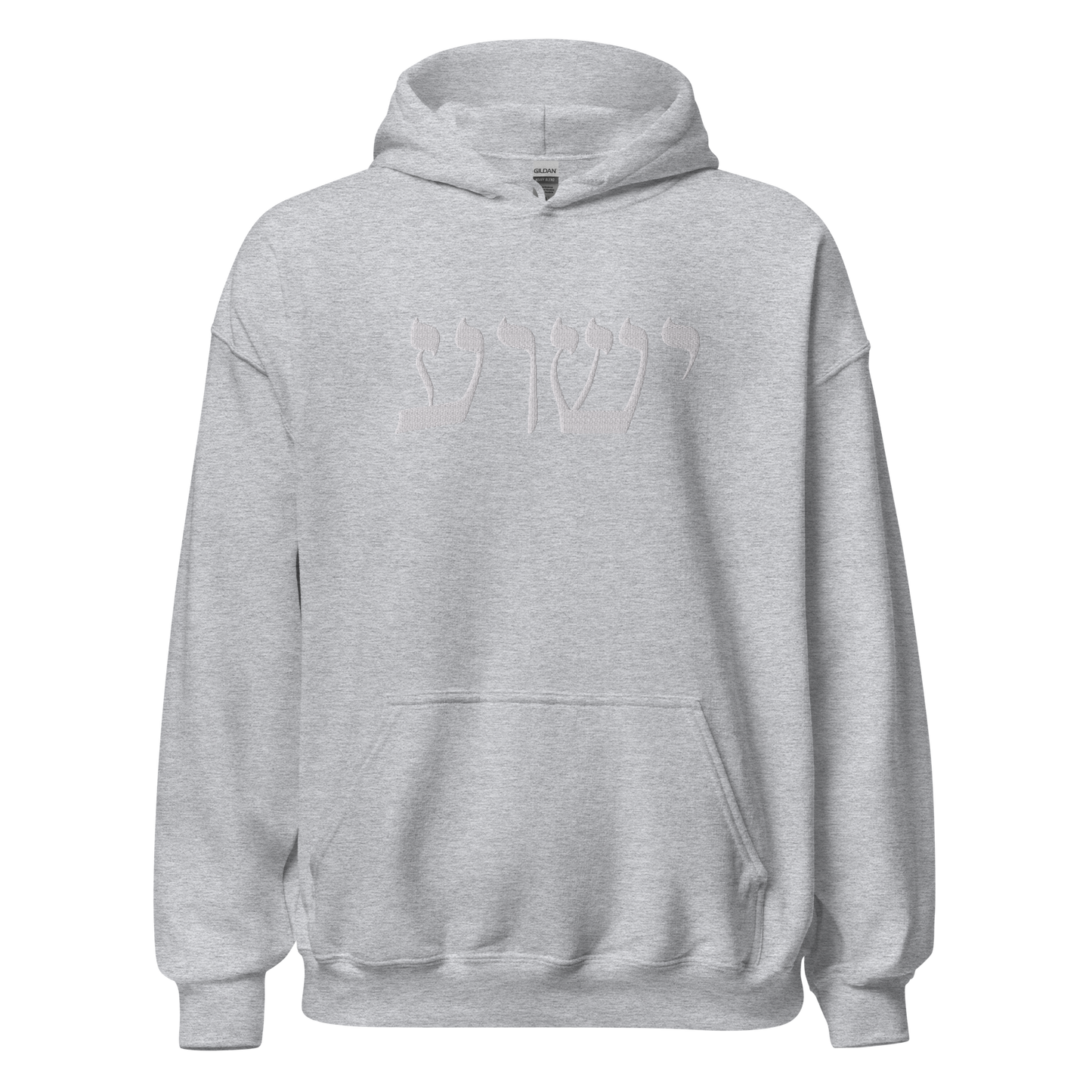 Genesis 1:3-embroidery Hoodie