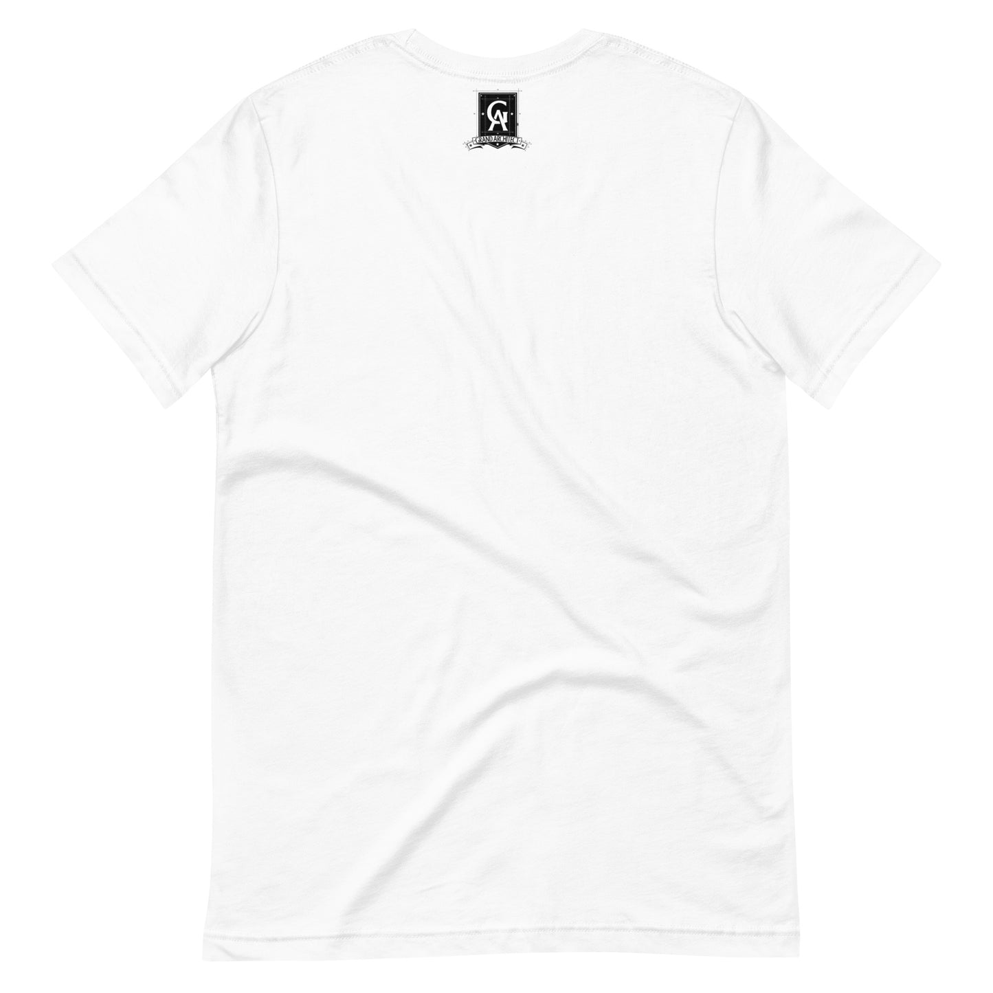 Grand Architect Brand Of Intellects Unisex t-shirt